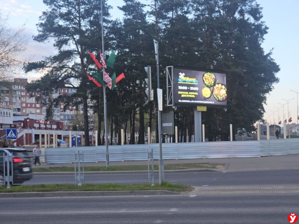 В Борисове прокомментировали вырубку 56 сосен под строительство Mak.by 