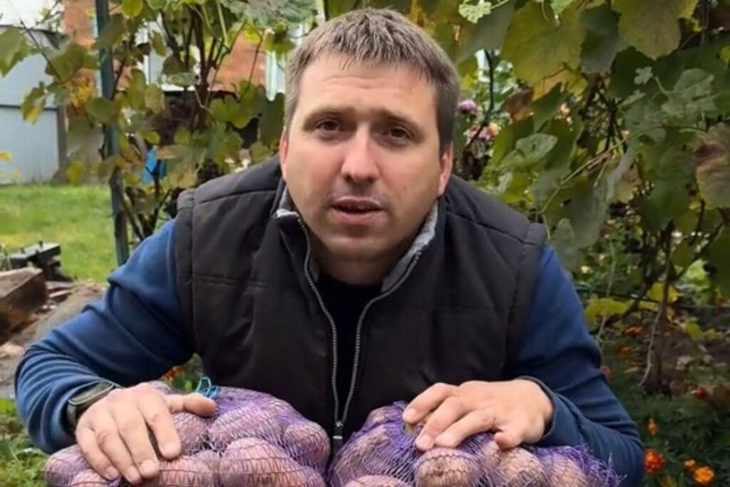 Когда сажать картошку в 2026 году – верная народная примета