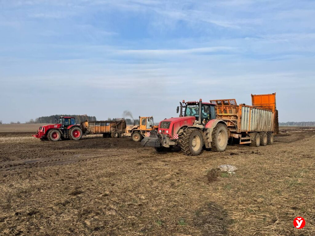 От 6000 кг молока – только начало. «Бродец» готовится к новым рекордам с запуском новой фермы