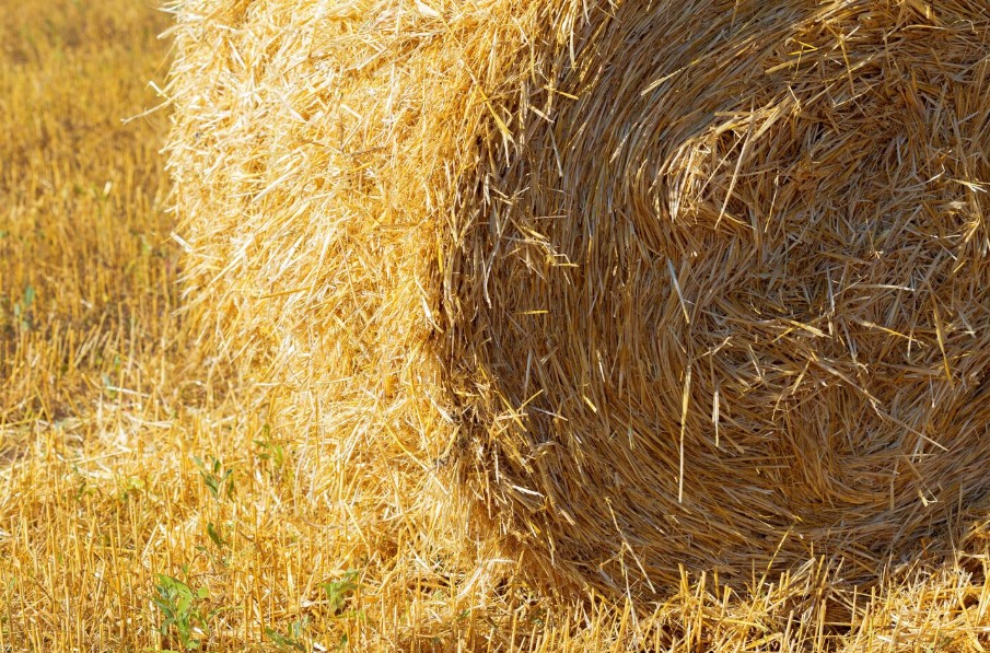 Под Борисовом сгорело 60 тонн соломы в рулонах