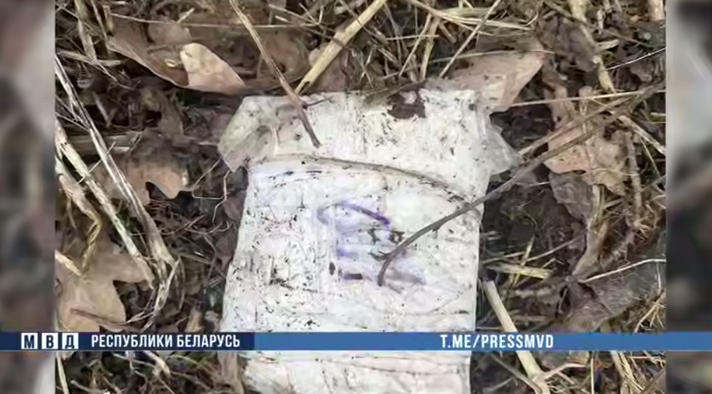 Трое минчан спрятали больше килограмма наркотиков в лесу Смолевичского района