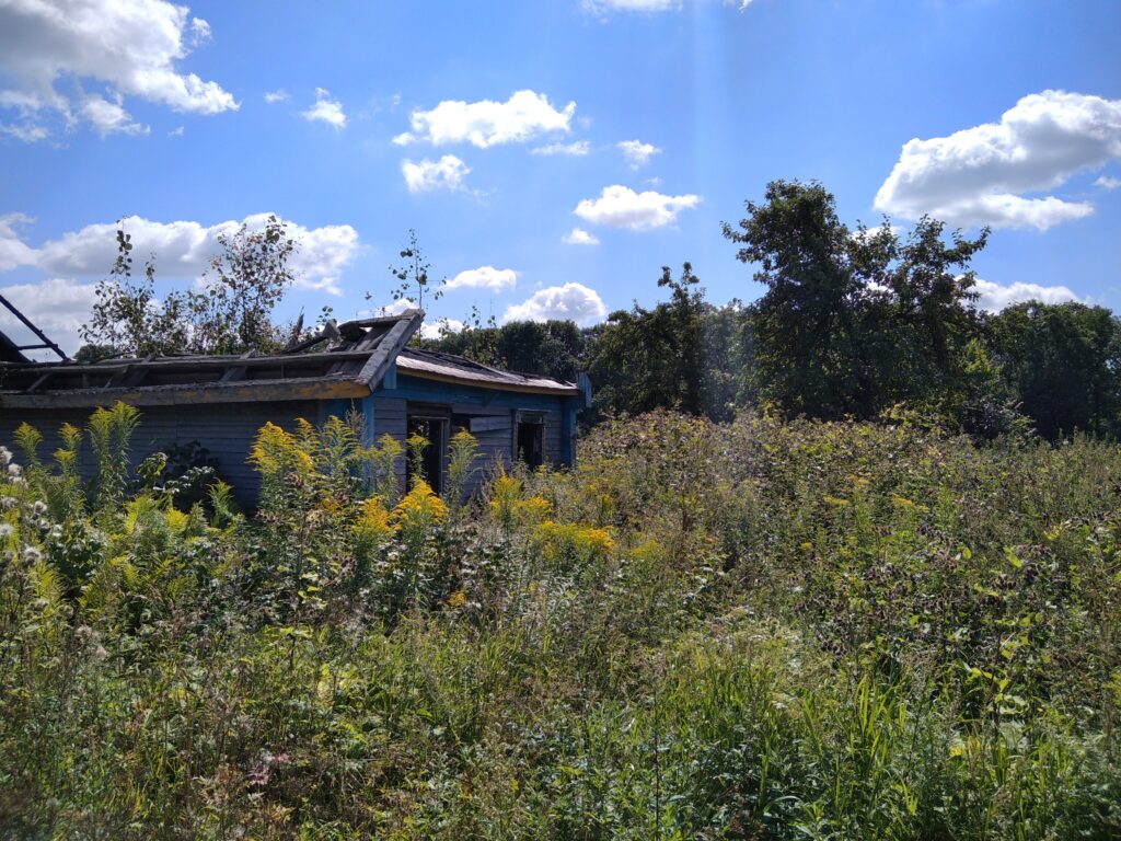 Пустующий дом за 45 рублей продали на аукционе в Пуховичском районе за 25 тысяч