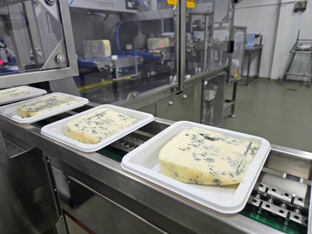 Более 600 туристов в месяц едут сюда за сыром с голубой плесенью – где находится производство