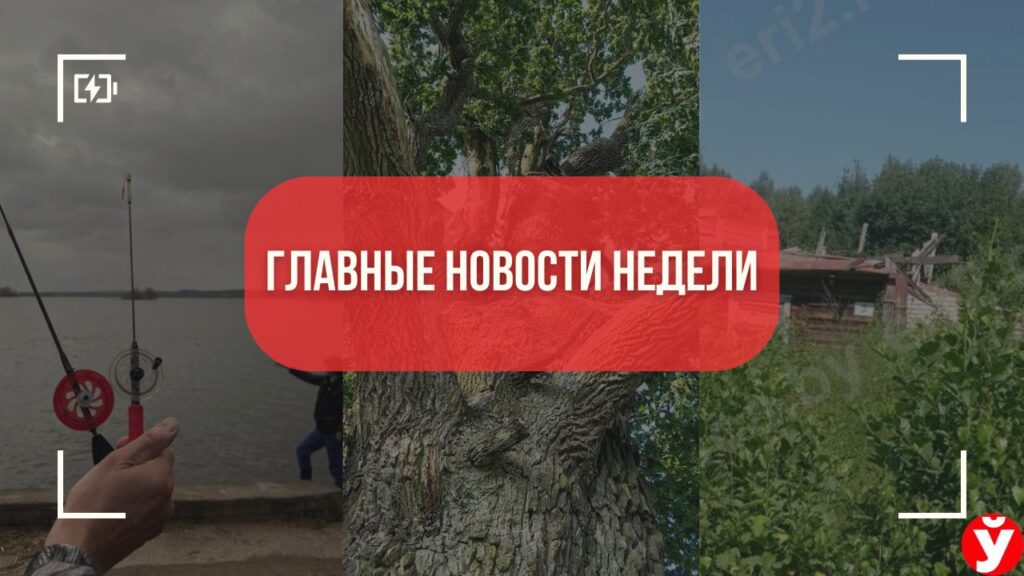 От рыбалки в снег до домов за 45 рублей: топ-5 обсуждаемых новостей Минщины за неделю