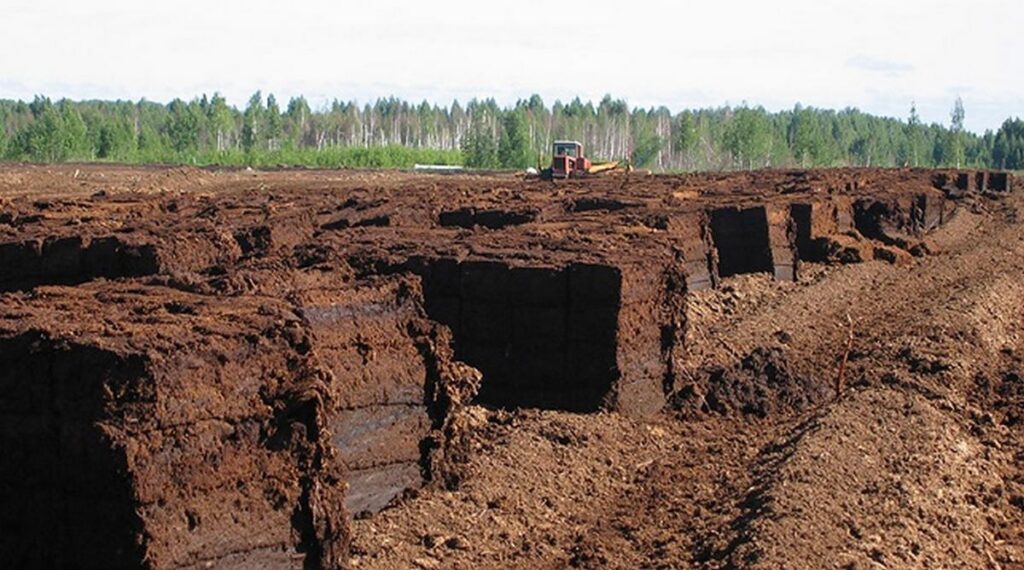 «Великий Камень» продаст Китаю торф. Как стримы помогают продвигать белорусскую продукцию?