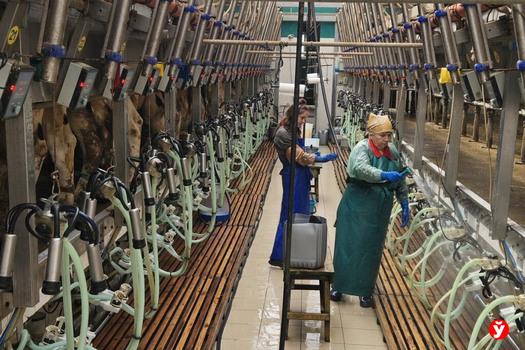 Руководитель перезапустила убыточное предприятие под Молодечно – зарплата выросла на 158 процентов