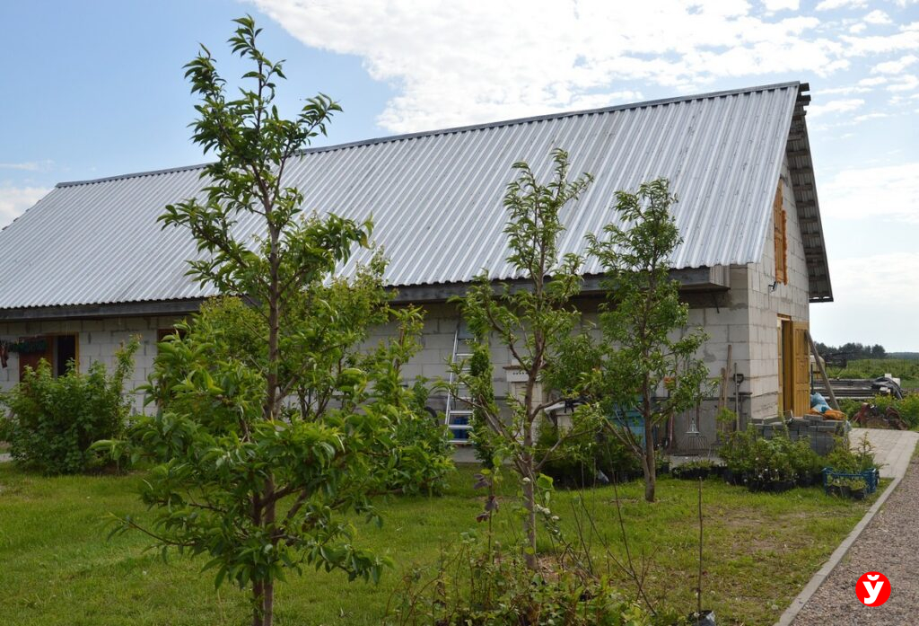 Яблоки от Аркадика