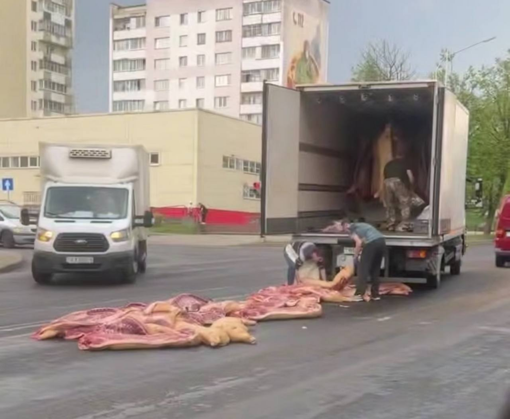 Свиные туши выпали из грузовика прямо на дорогу в Молодечно