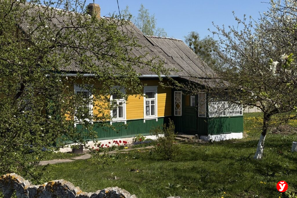 Деревянные дома под Слуцком и Молодечно выставили на продажу – есть с нулевым износом