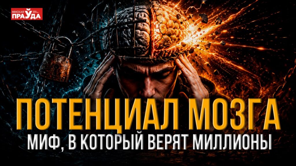 Мозг используется только на 10%? Развенчиваем самый опасный миф