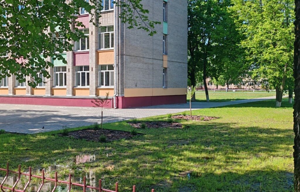 В Слуцке дети вынуждены ходить по проезжей части из-за потопа возле гимназии