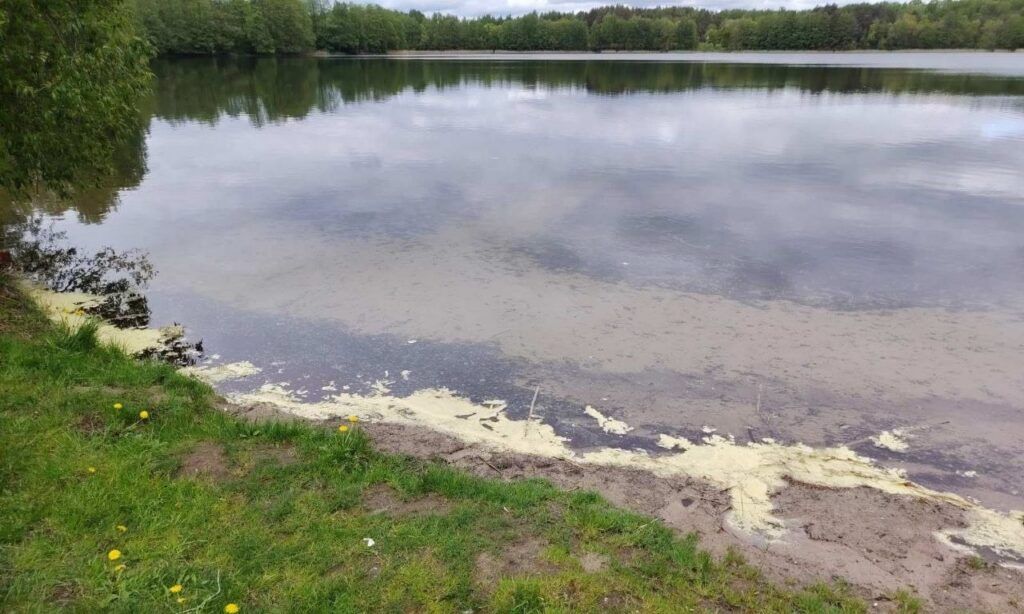 Что на самом деле произошло на Рудаково в Мядельском районе