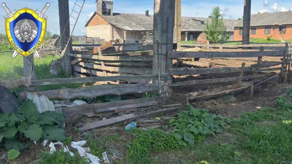 Под Костюковичами мужчина ранил сына из ружья во время забойки кабана