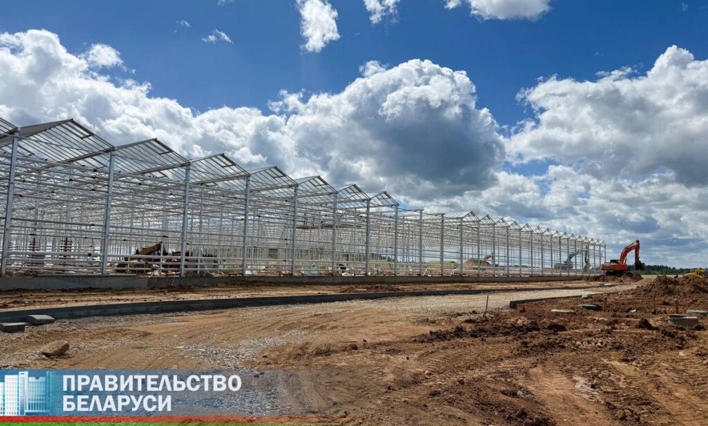 7 гектаров света и тепла: как под Минском монтируют энергосберегающие теплицы