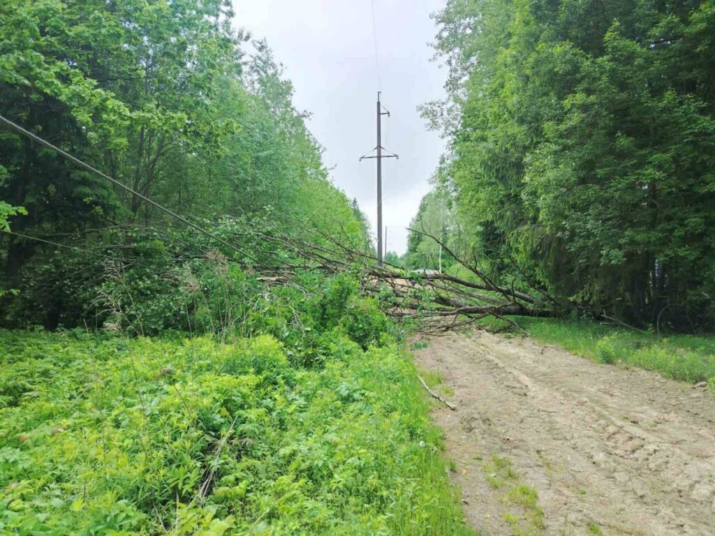 Непогода оставила без света более 200 населенных пунктов Минской области