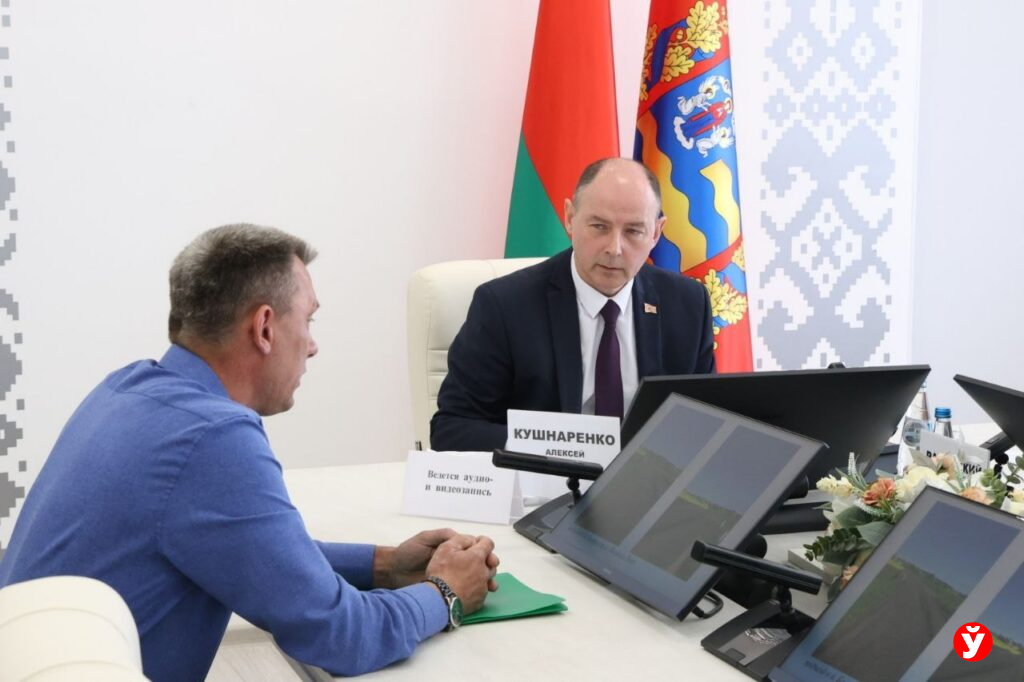 Жители Несвижского района пожаловались Кушнаренко на проблемный мост