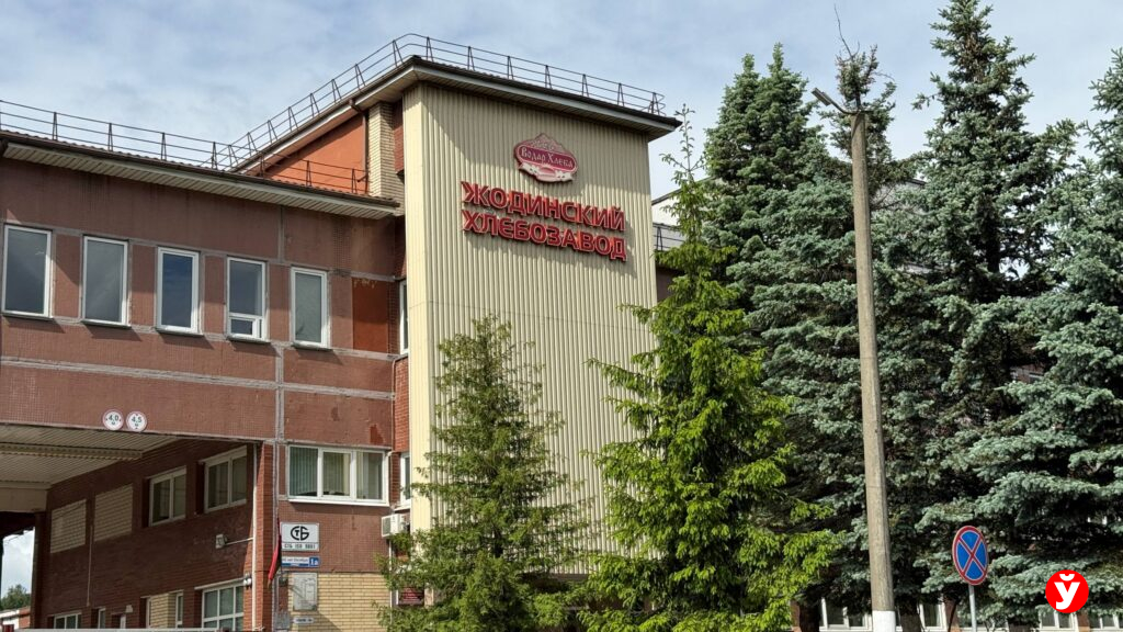 В Жодино остановили работу хлебозавода: что известно сейчас