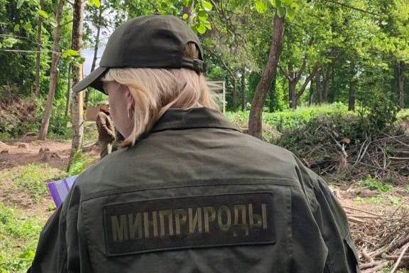Под Минском по вине людей погибло больше десятка птенцов серых цапель