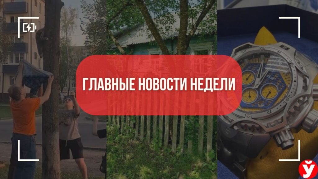 Топ-5 новостей Минщины за неделю: вирусный кот, часы от БЕЛАЗа и дома от 45 рублей