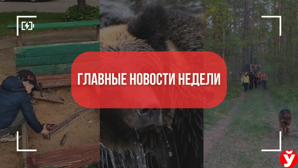 Топ-5 новостей Минщины: обращение ребенка к Президенту, поиски пенсионерки и медведь под Вилейкой