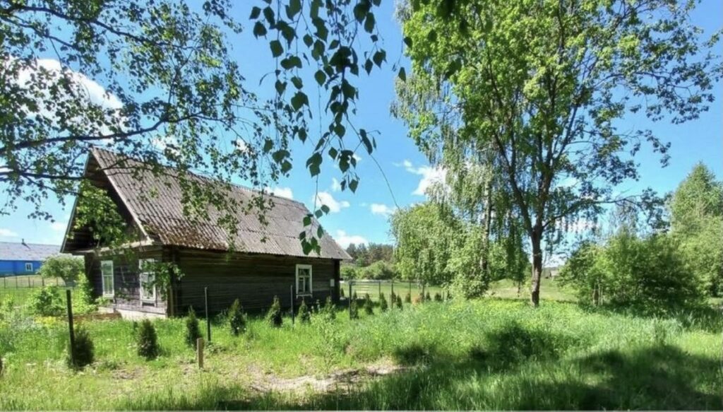 Всего $14 000: в Налибокской пуще продают дом с участком