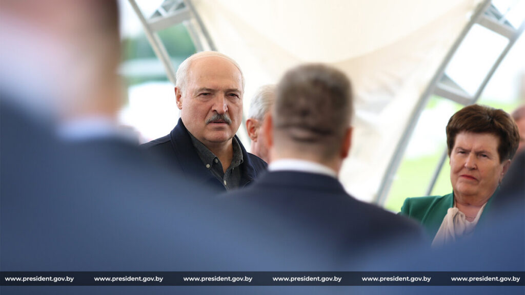 Лукашенко предложил развивать мясное животноводство в отдельных регионах Беларуси