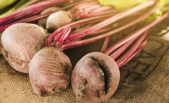 Почему свёкла трескается и как это предотвратить