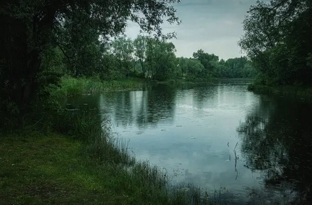Кратковременные дожди, грозы и до +30 °С: погода в Беларуси 22 июня
