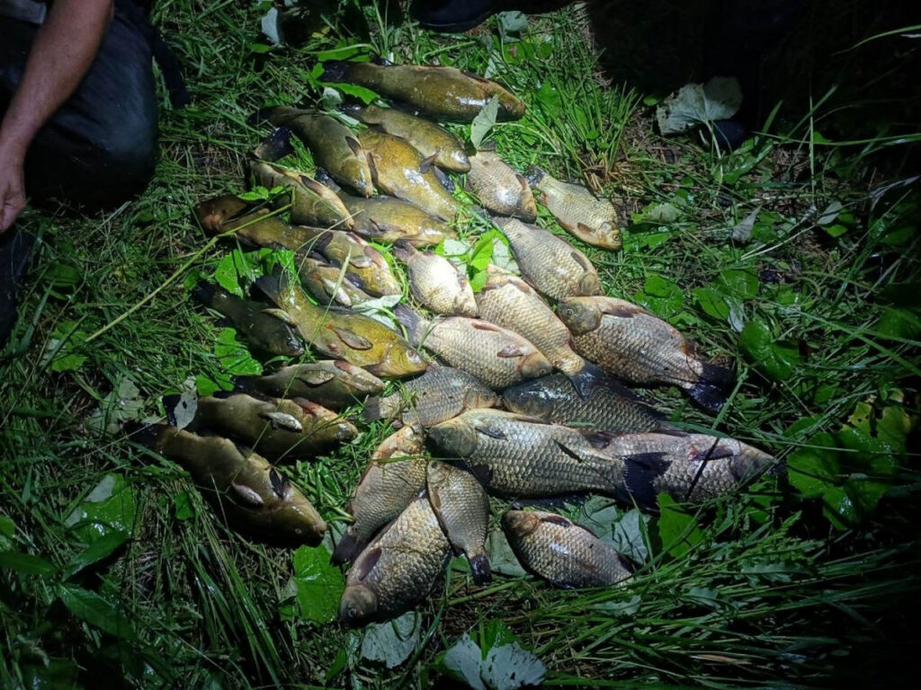 На Солигорском водохранилище задержали браконьера с вентерями и 21 кг рыбы