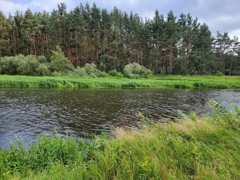 В Столбцовском районе утонула молодая женщина