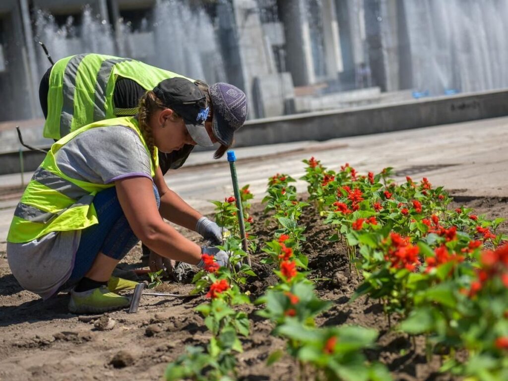 Кого приглашают на временные работы в Беларуси и сколько там платят