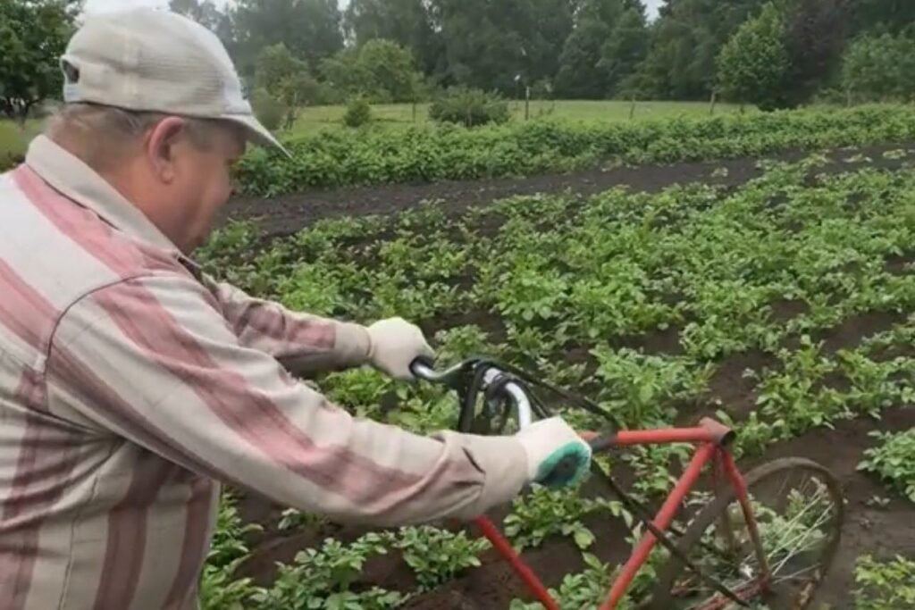 Сельчанин продал коня и сделал окучиватель из велосипеда – пользователи оценили