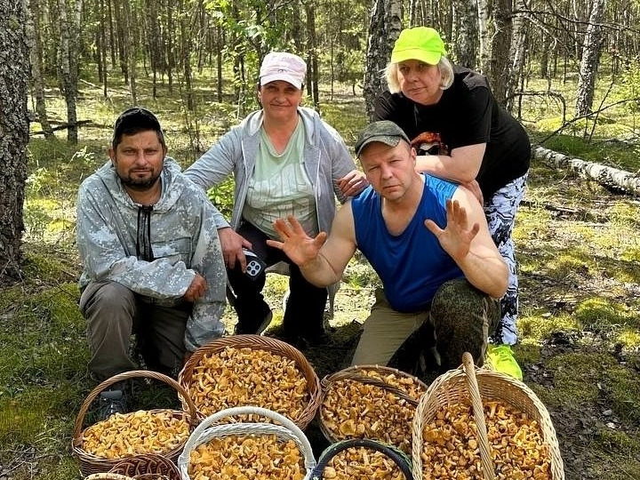 грибы