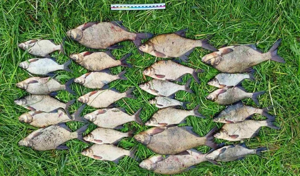 В Миорах задержаны браконьеры с лодкой, сетями и уловом лещей