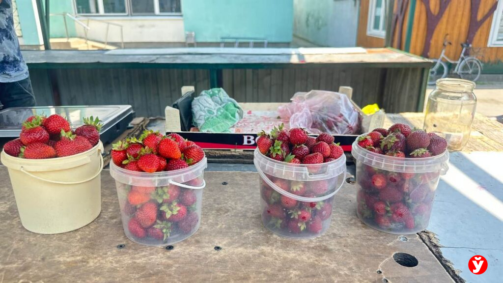 Узнали, почём продают лисички и ягоды в Узденском районе: свежие цены