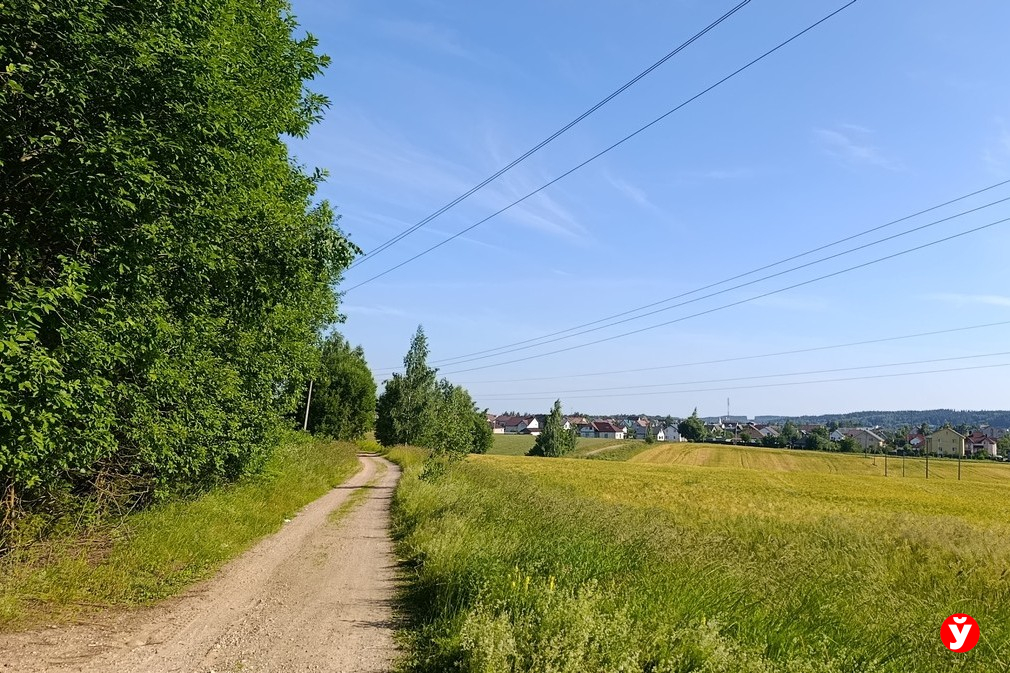 дорога