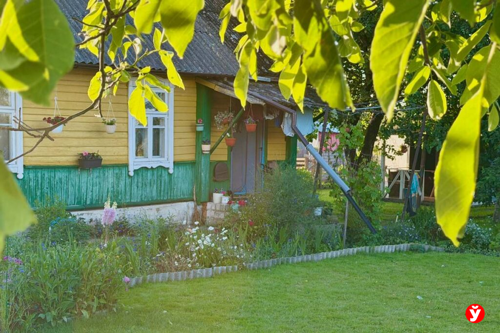 Власти ответили на жалобу дачницы из Червенского района: кому отдали земли общего пользования