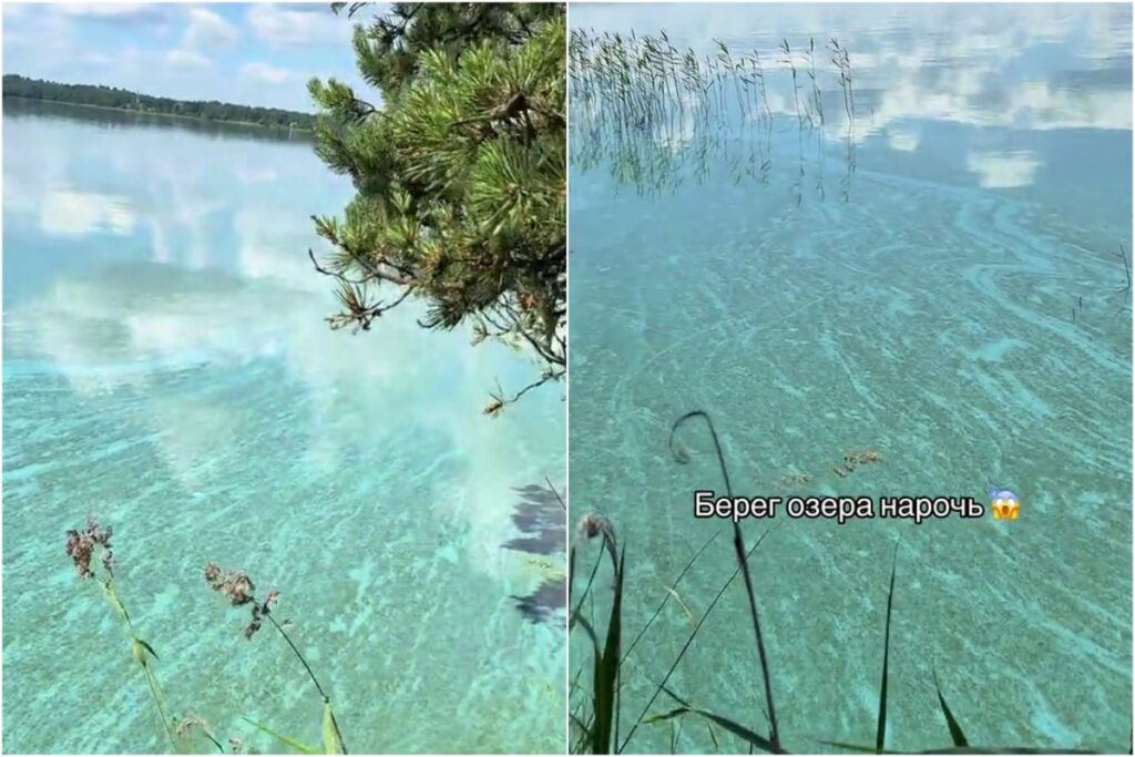 На озере Нарочь вода стала бирюзовой – что говорят эксперты