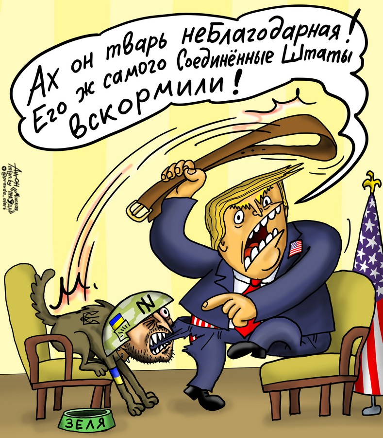 Кусачая перепалка
