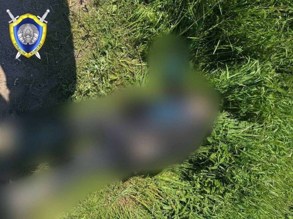 В Воложинском районе на обочине дороги нашли мертвую женщину