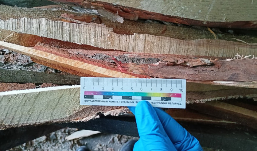 В Ганцевичах на деревообработке погиб рабочий