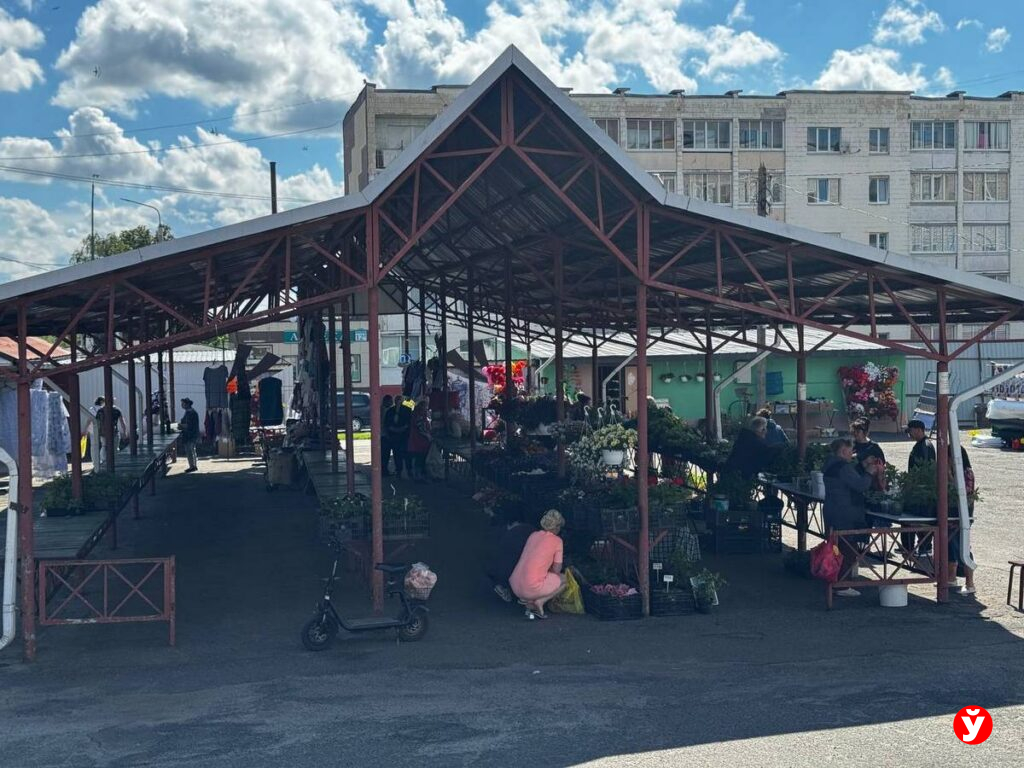 Березино, клубника