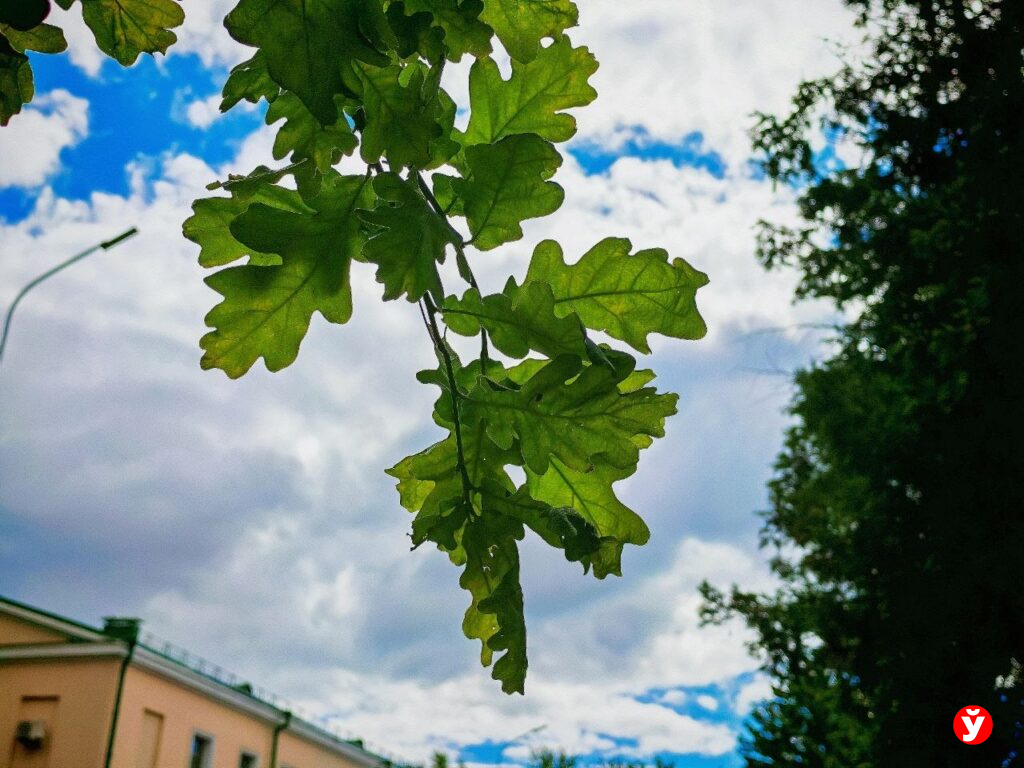 Дожди каждый день? Белорусов предупредили о неустойчивой погоде