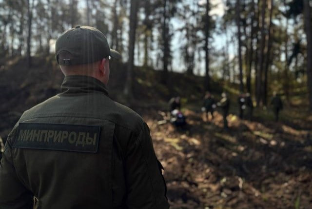 Госинспекция охраны животного и растительного мира может перейти в подчинение Минприроды