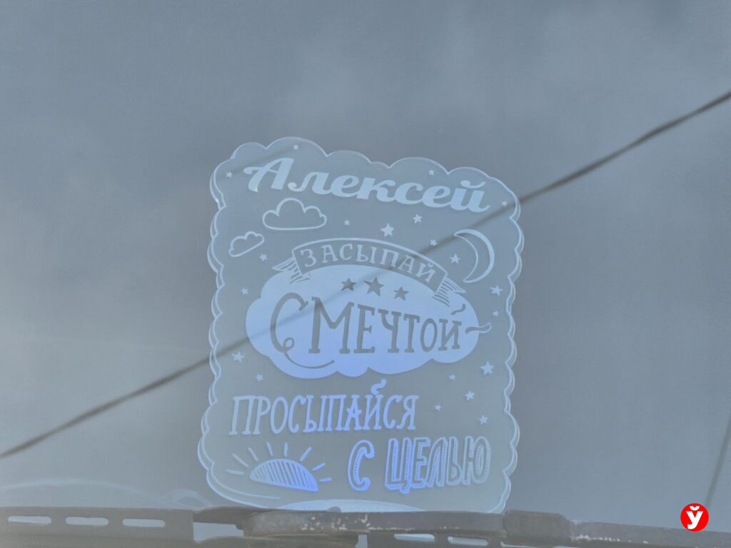 ассенизатор из Борисова
