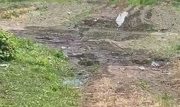Видео с потопом в деревне под Смолевичами разлетелось по сети – что ответил водоканал