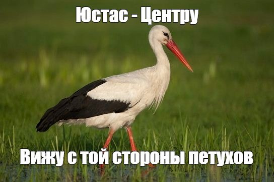 мем