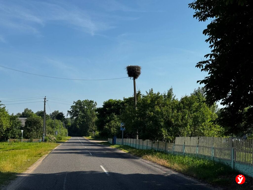 Земля Богушевичей