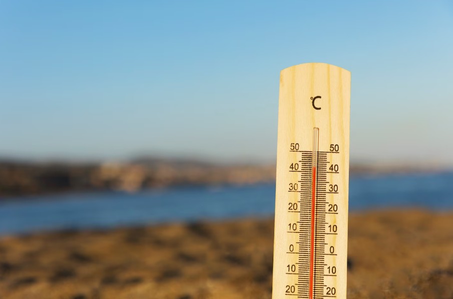 Как легко перенести жару до +35°C: рекомендации Минздрава 
