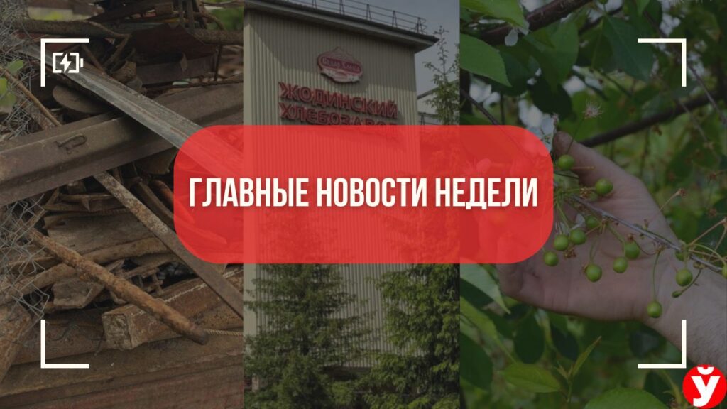 От старого холодильника до судьбы хлебозавода. Топ-5 читаемых новостей Минщины за неделю